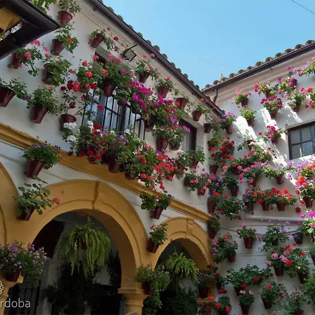 Duplex-atico De Nacar Casco Historico Semesterbostad